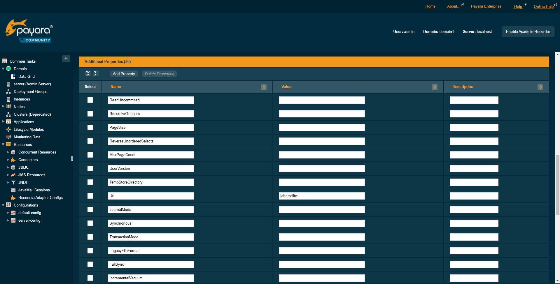 The payara JDBC New Connection Pool page 2 additional properties